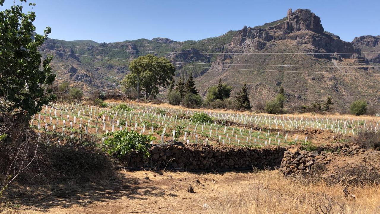 Casa-Finca El Maipez De Tejeda 라스팔마스 외부 사진
