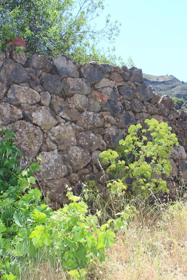 Casa-Finca El Maipez De Tejeda 라스팔마스 외부 사진