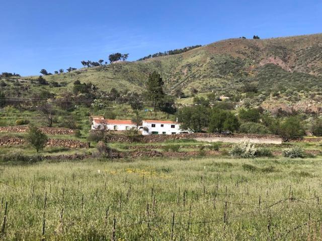 Casa-Finca El Maipez De Tejeda 라스팔마스 외부 사진