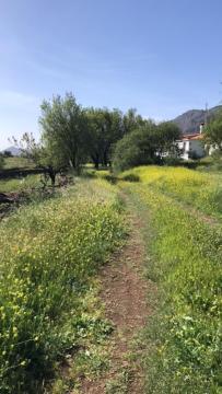 Casa-Finca El Maipez De Tejeda 라스팔마스 외부 사진